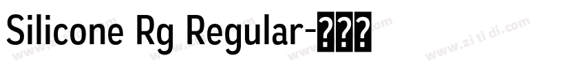 Silicone Rg Regular字体转换